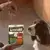 Chien regarde au snack AdVENTuROS™ riche en Bison