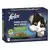 Verpakking PURINA® FELIX® MALSE REEPJES countryside selectie in gelei met groenten