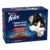 FELIX® TENDRES EFFILÉS Sélection de Campagne en Gelée