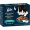 Emballage PURINA® FELIX® SUCCULENT GRILL Sélection de Poissons Aliment humide pour chat