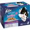 Emballage PURINA® FELIX® TENDRES EFFILES Junior Sélection aux Viandes et aux Poissons en Gelée Nourriture pour chaton
