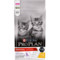 PRO PLAN® Original Kitten avec OPTISTART® - Riche en Poulet