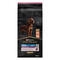PRO PLAN® Large Athletic Adult Dog Sensitive Skin Riche en Saumon