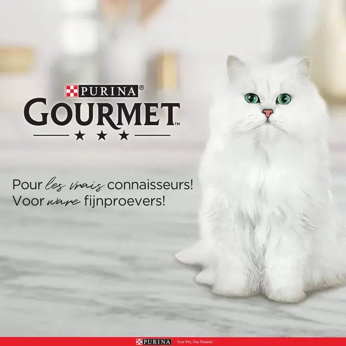 Purina Gourmet Chat pour les vrais connaisseurs