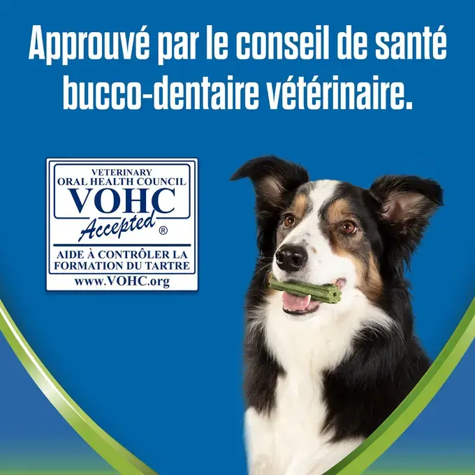 DENTALIFE® ActivFresh® Petit Chien (7-12kg) - Bâtonnets à mâcher