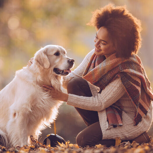 vrouwen met golden retriever in het park