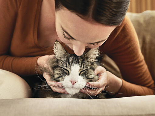 Hypoallergische baasje en kat