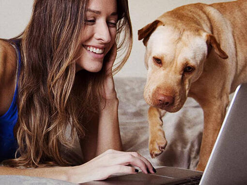 Femme et chien à l'ordinateur portable