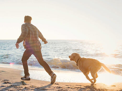 Man loopt op het strand met een hond
