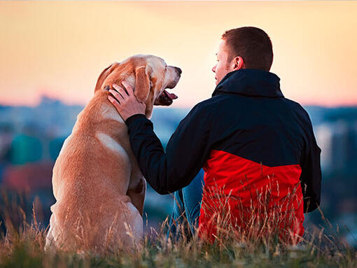 L'homme s'est assis dehors avec le Labrador