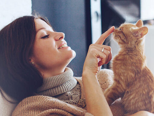 Femme touchant le nez du chat roux