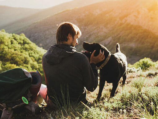Homme assis dans les montagnes avec chien
