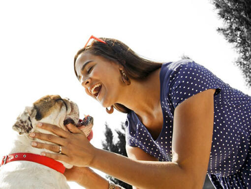 Vrouw praat met bulldog