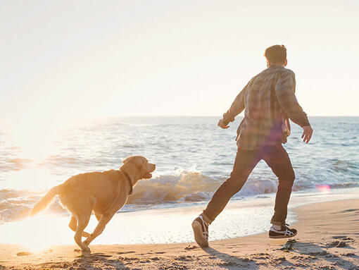 Man en hond rennen op het strand