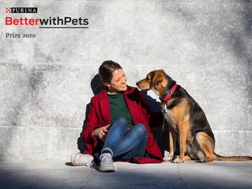 Mieux avec les animaux de compagnie prix femme assise avec chien