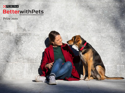 Beter met huisdierenkamer vrouw zittend met hond