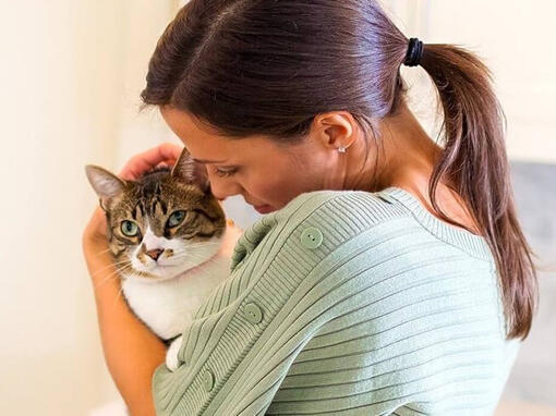 Kat knuffel vrouw