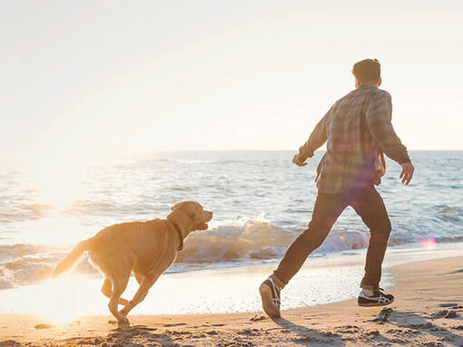 Man en hond rennen op het strand