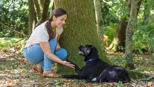Vrouw hurkte neer met hond bij een boom