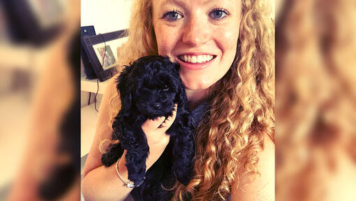vrouw houdt een yorkiepoo-puppy vast