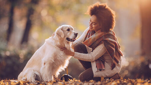 Vrouwen met golden retriever in het park