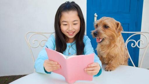 Norfolk Terrier assis à côté de fille