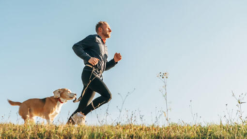 man en hond die langlaufen