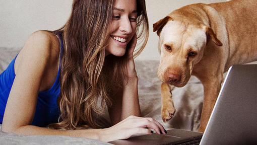 Meisje kijkt naar de laptop met haar hond