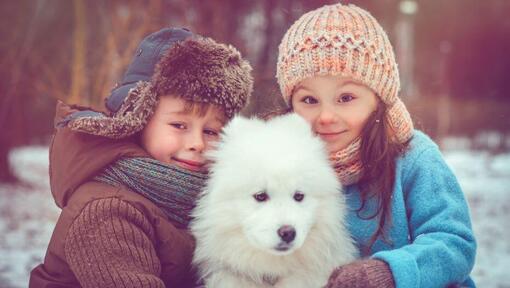 Spitz japonais avec deux enfants