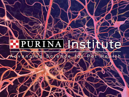 Logo de l'Institut Purina et chat