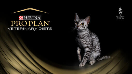 PURINA PRO PLAN Veterinary Diets Kat