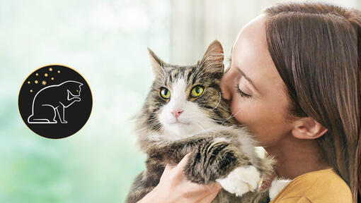 PURINA PRO PLAN Chat LiveClear®