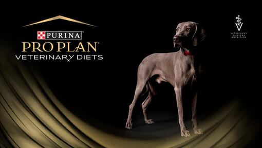 PURINA PRO PLAN Veterinary Diets voor honden