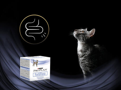PURINA PRO PLAN Fortiflora®