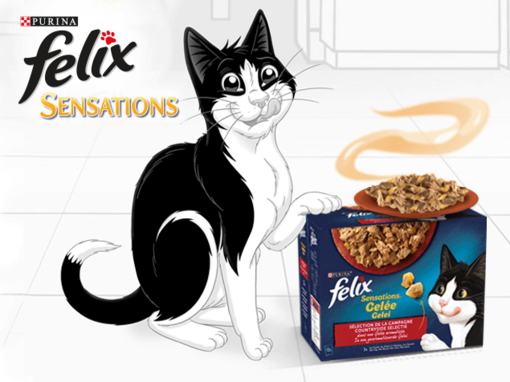 Felix met zijn natte kattenvoeding van Felix Sensations