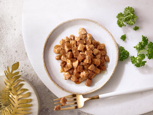 Plat présentation Nourriture Humide pour chat Gourmet Multi Portions