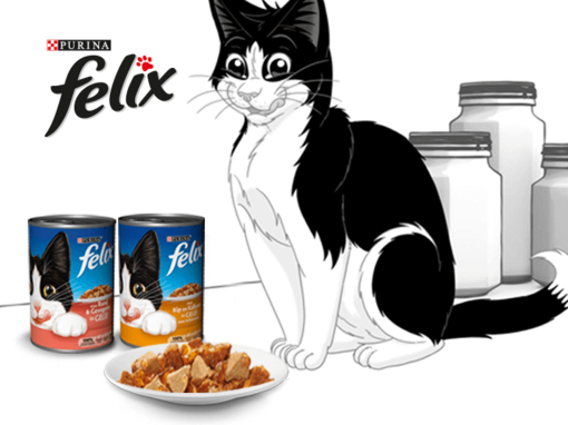 Felix met zijn natte kattenvoeding van Felix Meerdere Porties