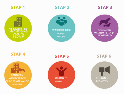 6 stappen voor Pets at Work Alliance infographic