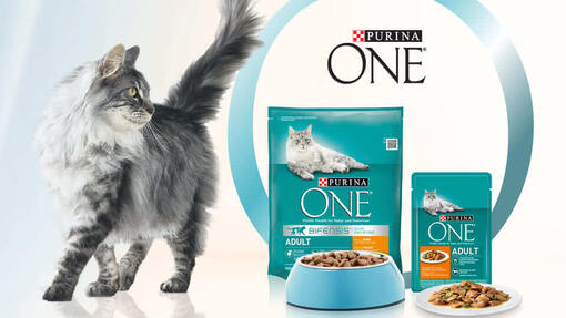 Purina ONE Gecombineerde Kattenvoer Banner