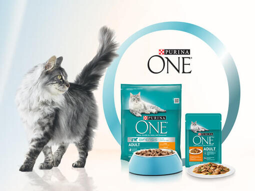 Bannière Purina ONE Alimentation mixte pour chat