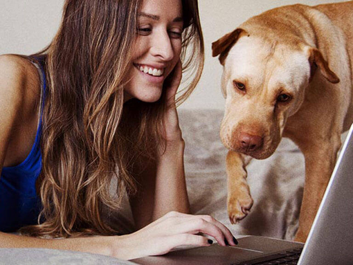 Une femme regarde un ordinateur portable avec son chien