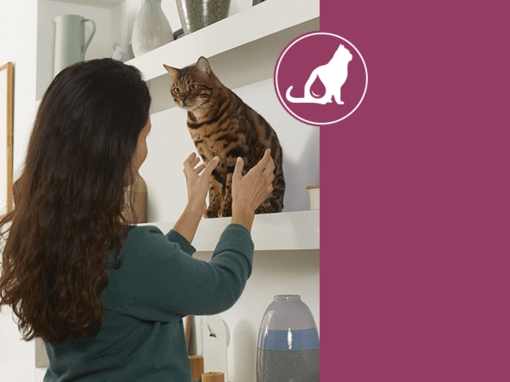 PURINA CAT CHOW Santé urinaire