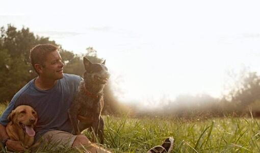 Man zit op het gras met twee honden
