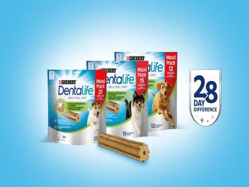 Dentalife Packshots 28 jours programme