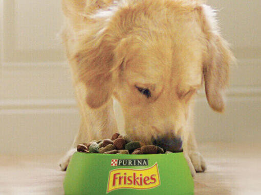 Friskies chien