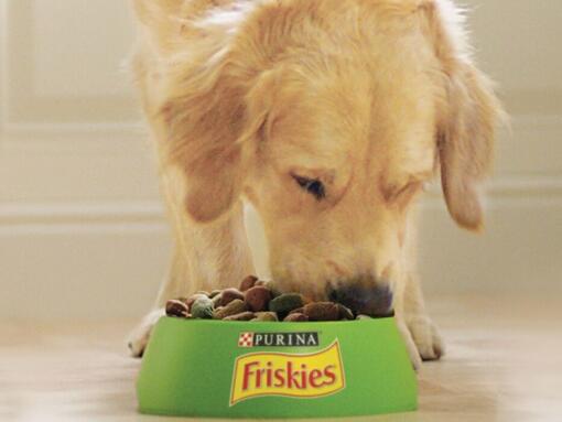 Hond eet brokjes Purina Friskies Hond