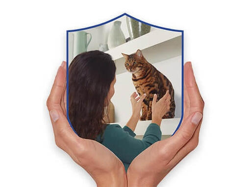 PURINA CAT CHOW