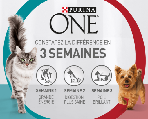 Purina ONE Challenge 3 semaines Chien et Chat