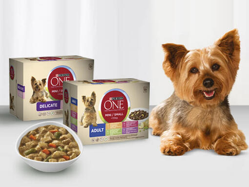 Natte voeding Purina ONE Hond​