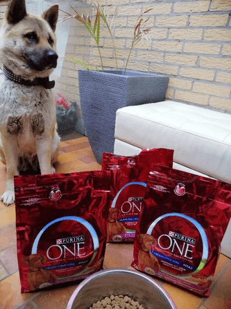 Pourquoi les gens aiment Purina ONE